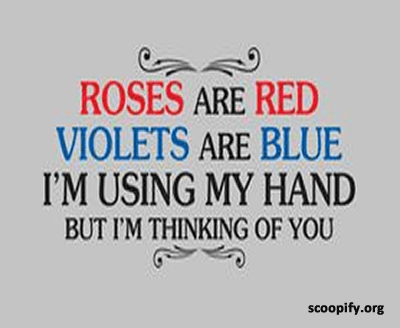 http://www.scoopify.org/wp-content/uploads/2016/05/roses-are-red-violets-are-blue.png
