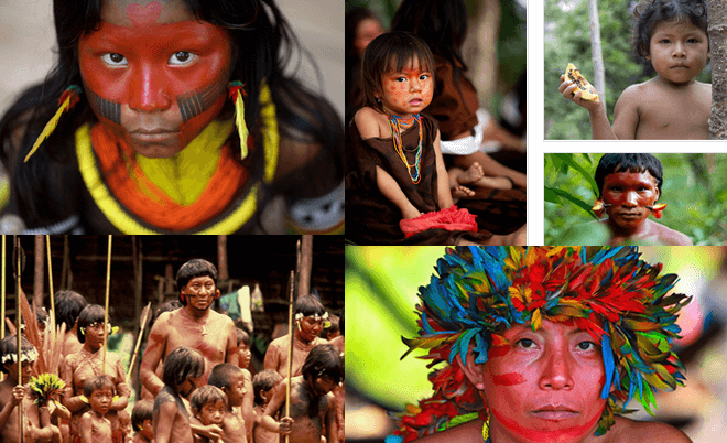 Amazon rainforest facts-3