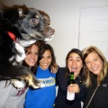 Hilarious Dogs Photobombs
