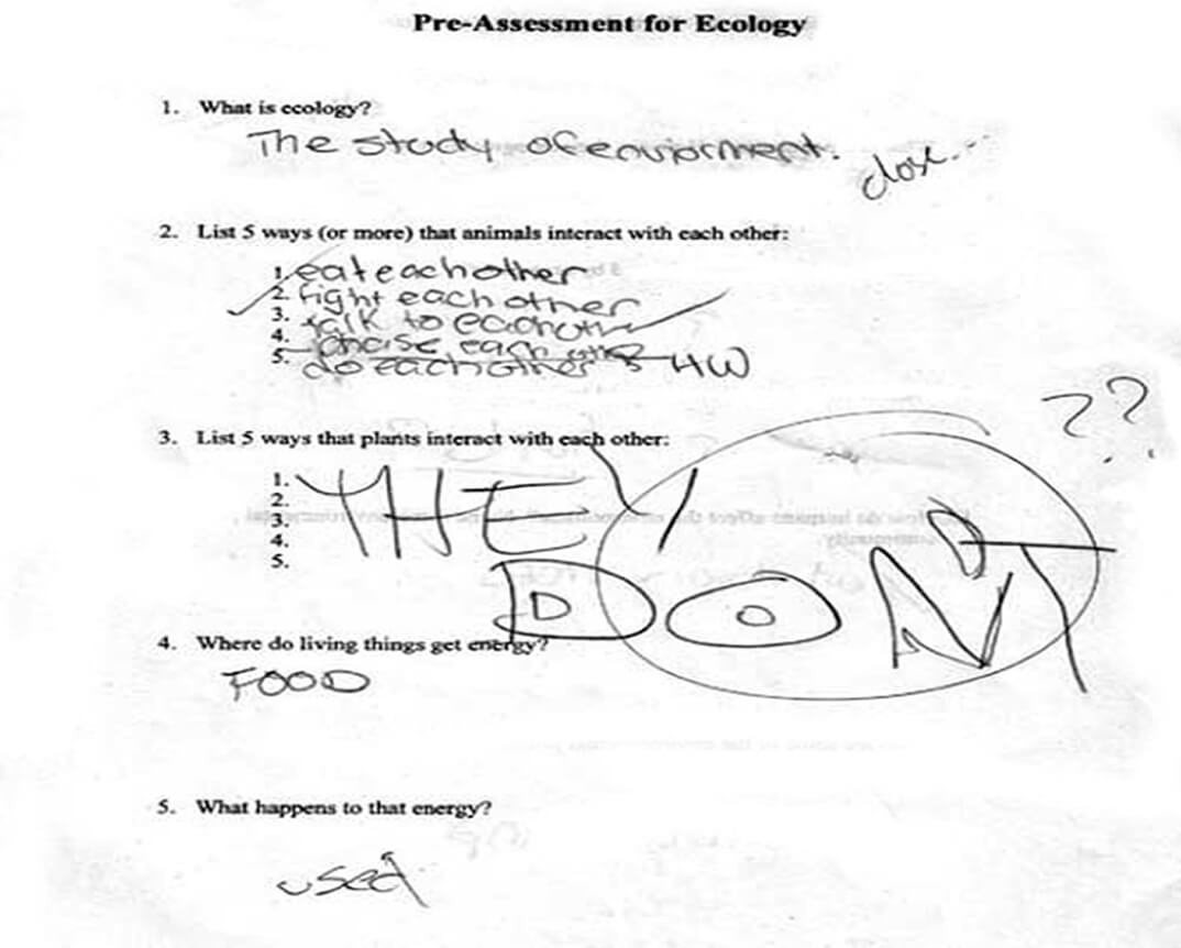 Funny Exam Answers-Too smart to be wrong.