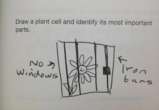 Funny Test Anwers-14