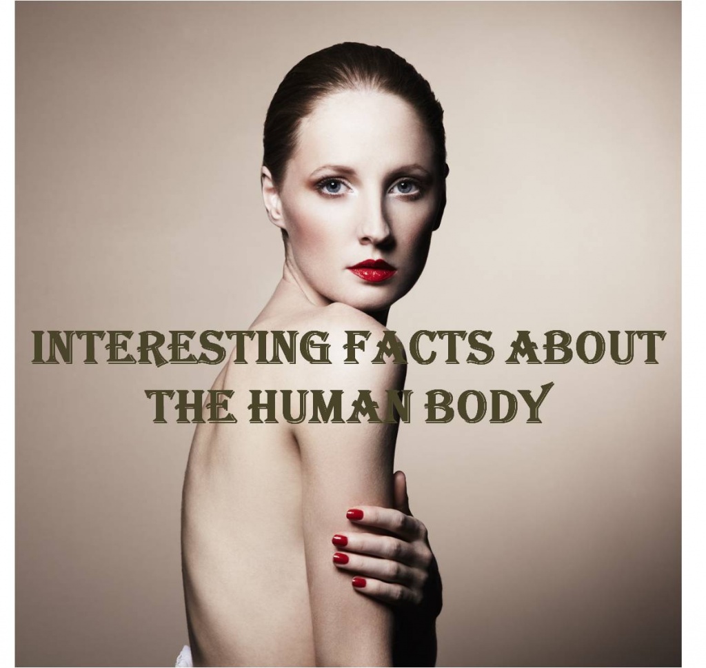interesting facts about the human body