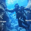 swim between two continents