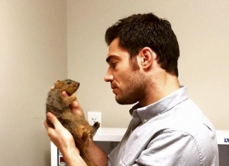 Extremely Hot Veterinarian-Dr. Evan Antin