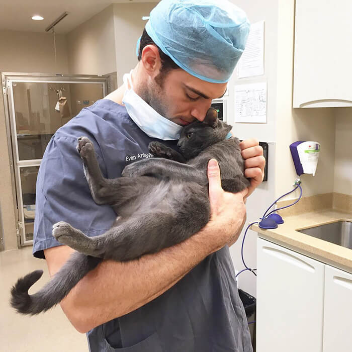 Hot Veterinarian cat person-Dr. Evan Antin
