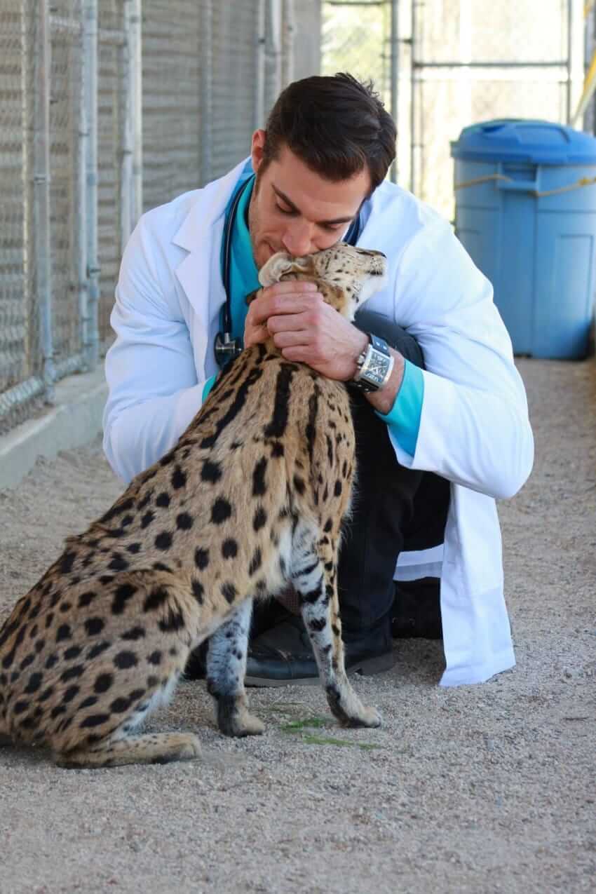 Hot Veterinarian snuggling a serval.-Dr. Evan Antin