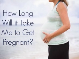 How Long will It Take To Get Pregnant