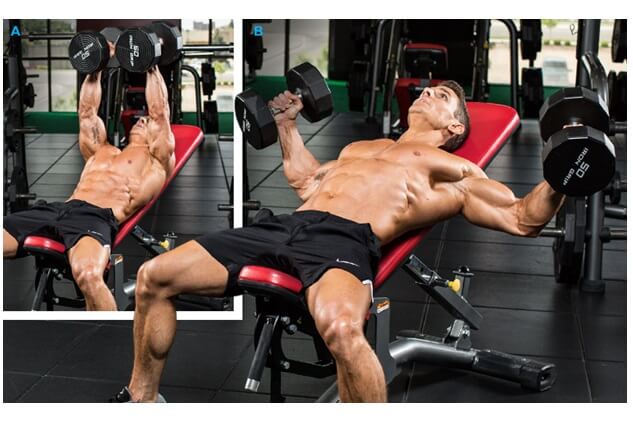 Best Chest Exercises For Men Dumbbell bench press