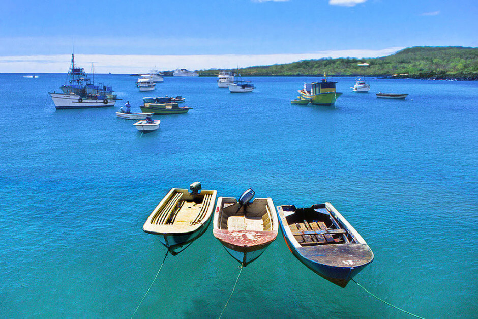 35 Places To Swim In The World's Clearest Water-Puerto Ayora, Galapagos