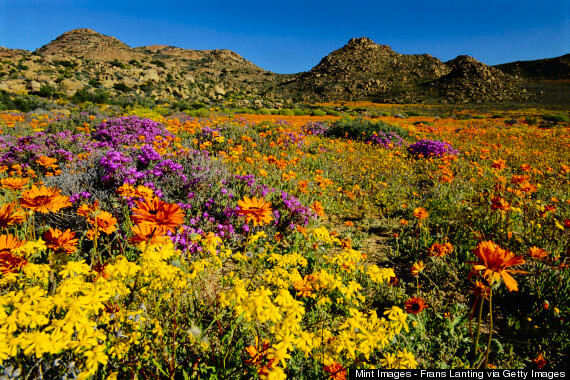 The Most Beautiful Places In The World You Didn't Know Existed-NAMAQUALAND - SOUTH AFRICA