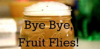 How To Get Rid Of Fruit Flies
