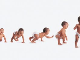 When do babies Crawl & Start Walking