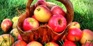 Apples - Slow Down the Aging Process