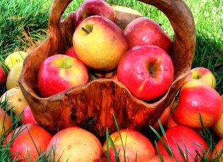 Apples - Slow Down the Aging Process