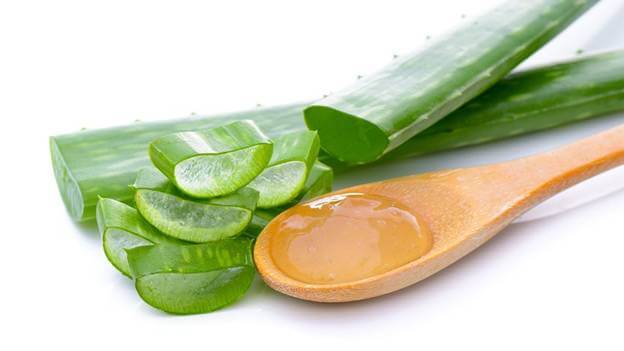 Aloevera to Get Rid of Stretch Marks