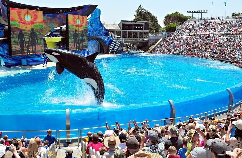 seaworld san diego