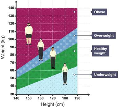 Relationship between height and weight