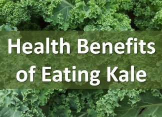 Benefits of Kale