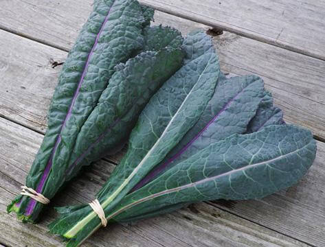 Benefits of Lacinato Kale
