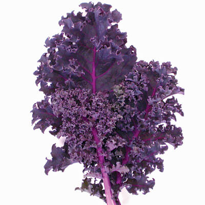 benefits of Redbor Kale