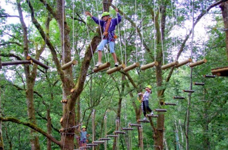 things to do in bali, treetop adventure park