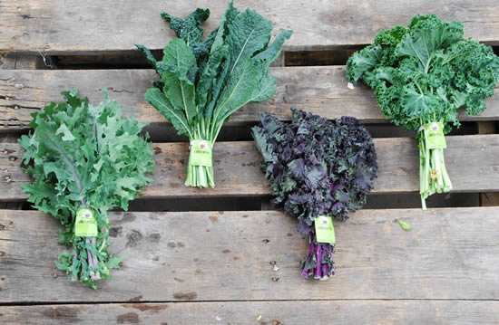 types of kale and benefits of kale