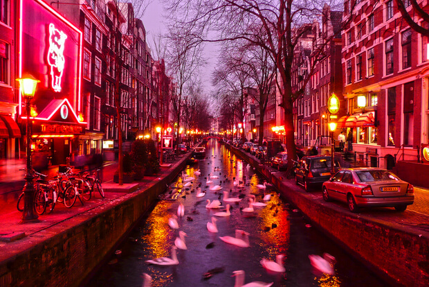 things to do in amsterdam