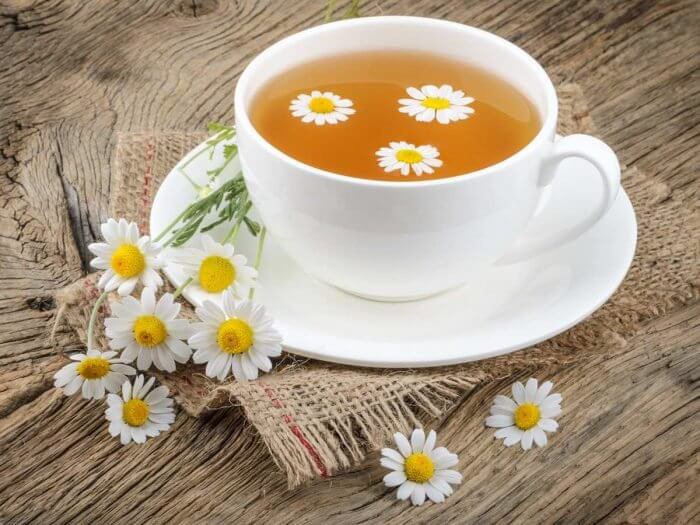 chamomiletea