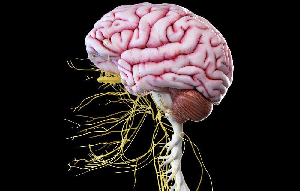 Nerve Damage