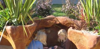 Things You Should Know Before Sending Your Kid To The Summer Camp For The First Time