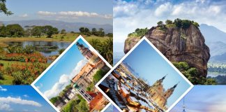 Top Countries to Visit