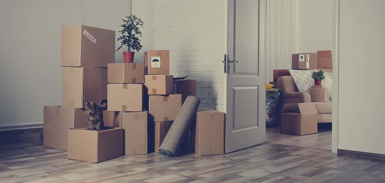 best moving companies