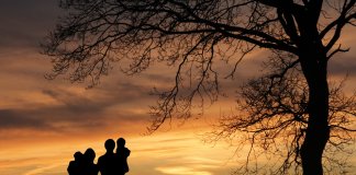 7 Qualities to Look for in a Surrogate