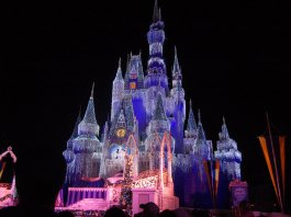 How to Decide Which Disney Park to Go to on a Short Trip