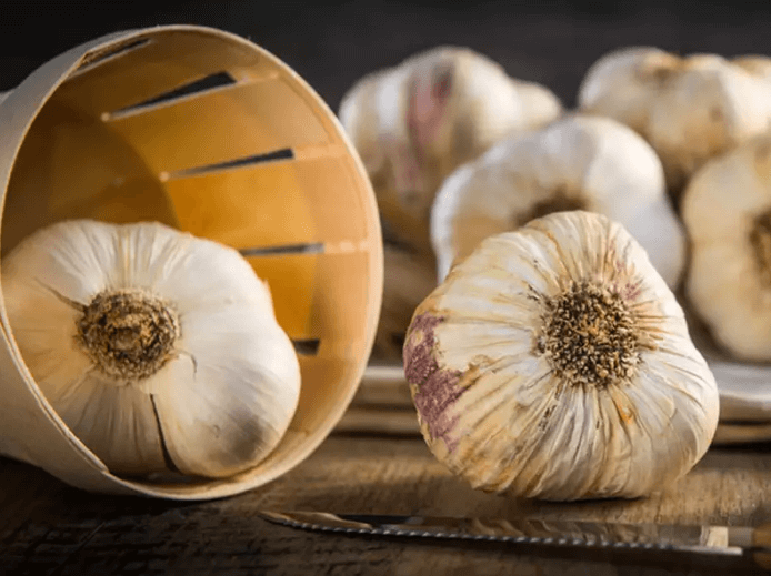 garlic benefit
