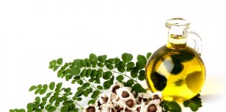 moringa oil