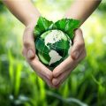 save environment