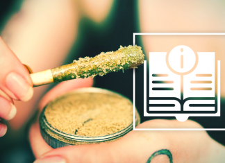 Guide to Cannabis Concentrates