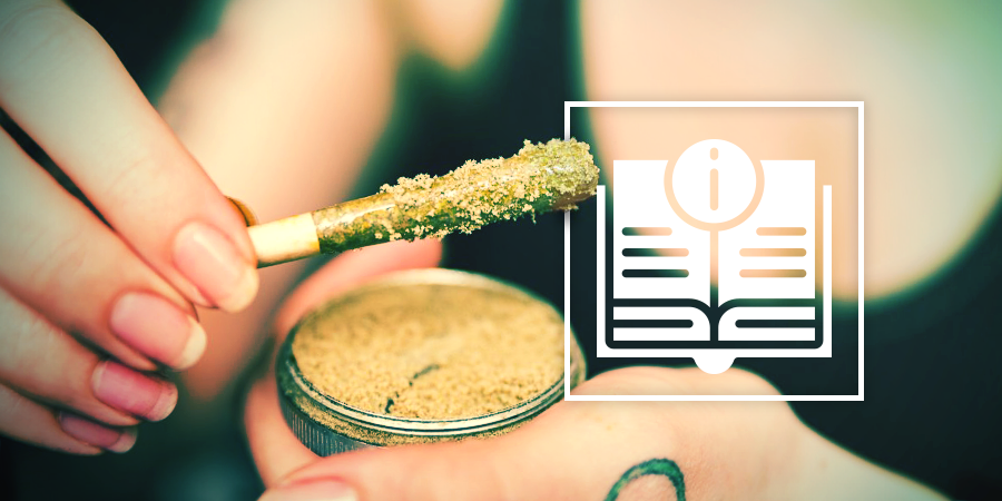 Guide to Cannabis Concentrates - Scoopify
