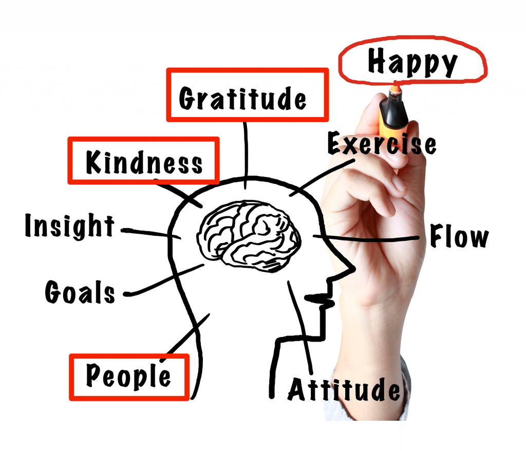 Cultivating the Healing Power of Gratitude to Retrain Your Brain