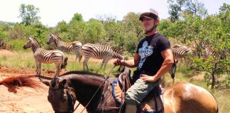 Experiences Offered by a Horse Safari