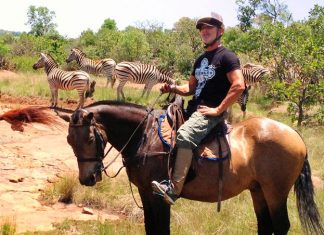 Experiences Offered by a Horse Safari