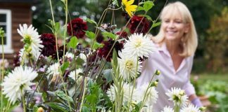 blend into your garden