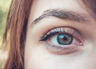 Popular eyelashes, eyebrows and eyes area treatment
