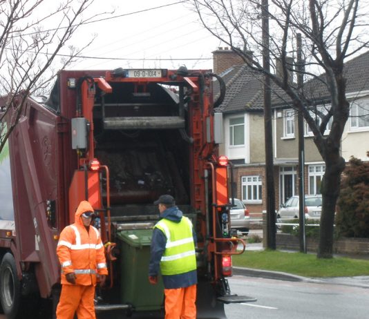 Green Waste Removal