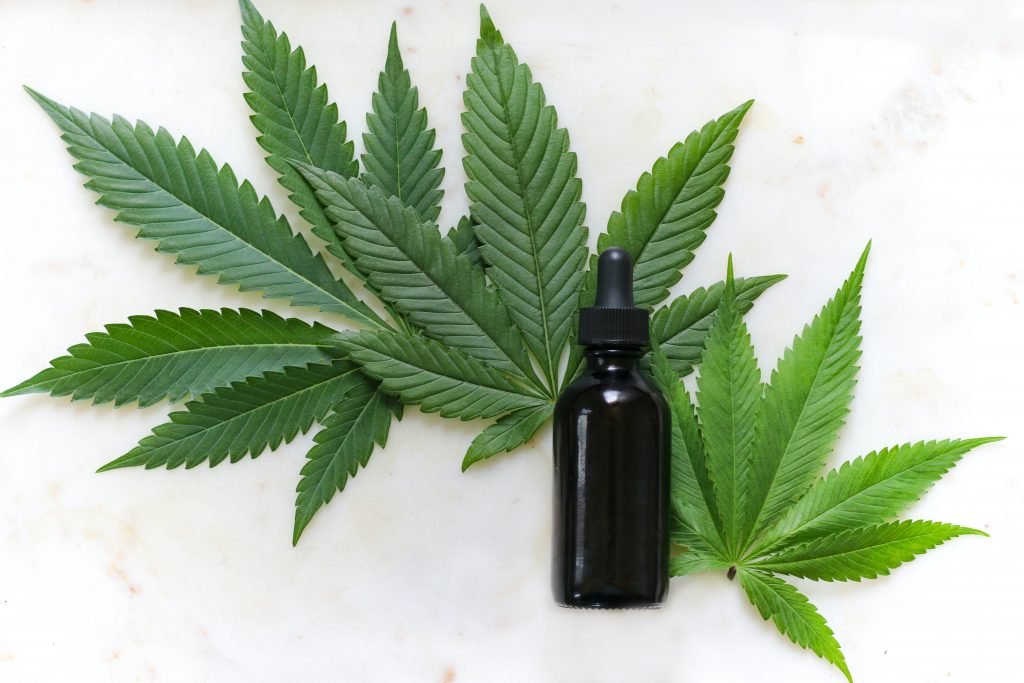 Cannabis Vacation