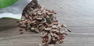 flax seeds side effects