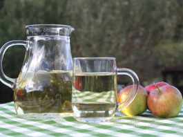 acv for weight loss