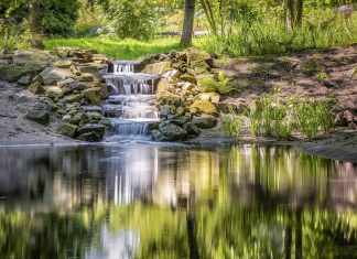 Setting up a Pond