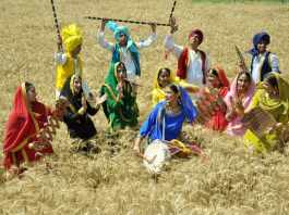 Harvest Festivals of India